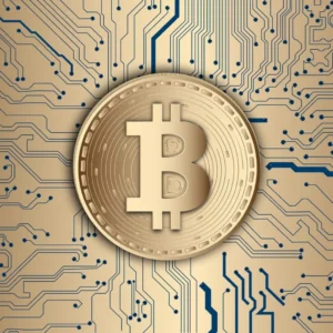 Malaysia crypto-friendly merchants
