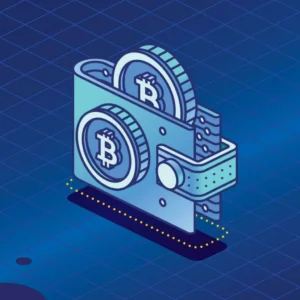 blockchain wallet vs bank card